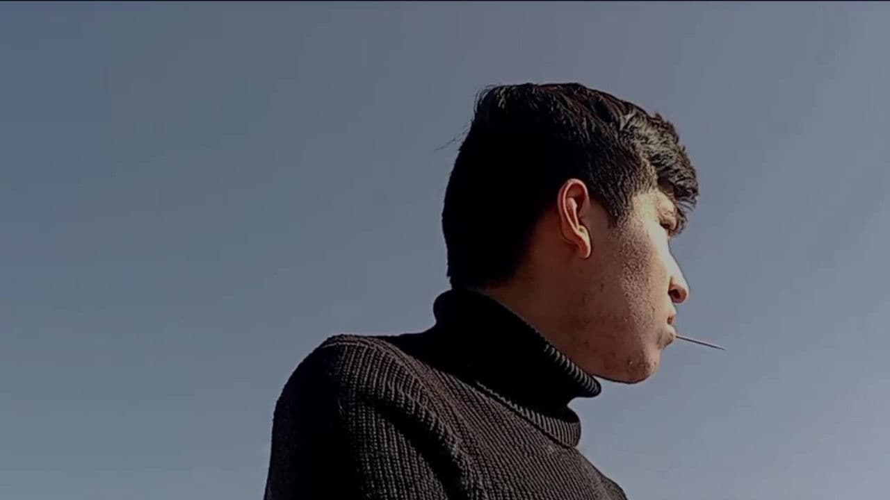 Psychophänomenologische Inhärenz