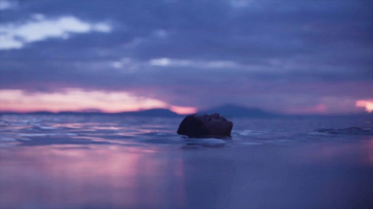 Las flores de la noche