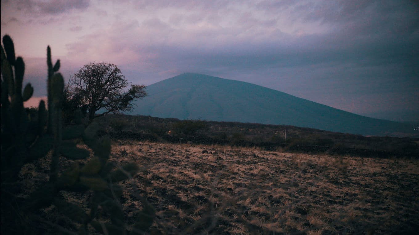 Esta serena luz de la mañana
