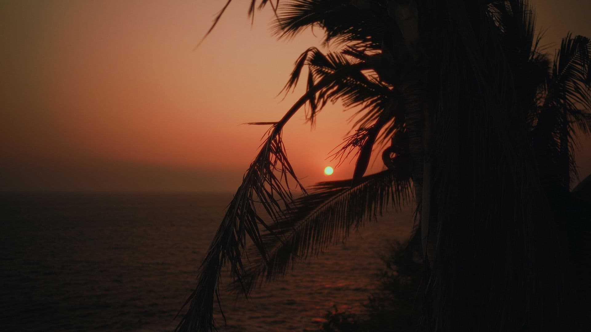 El Arma del Discurso