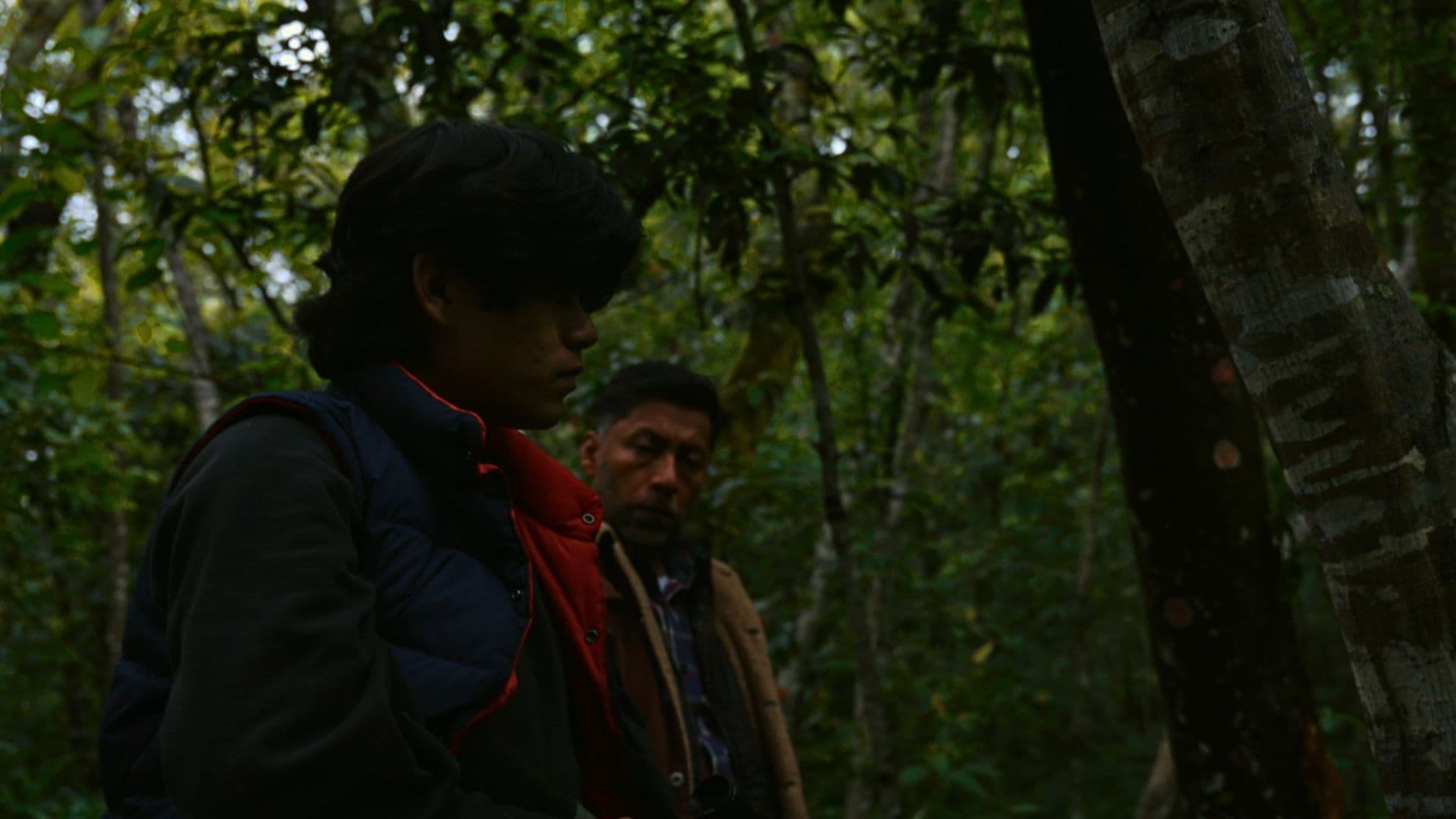 LOS HOMBRES NO LLORAN