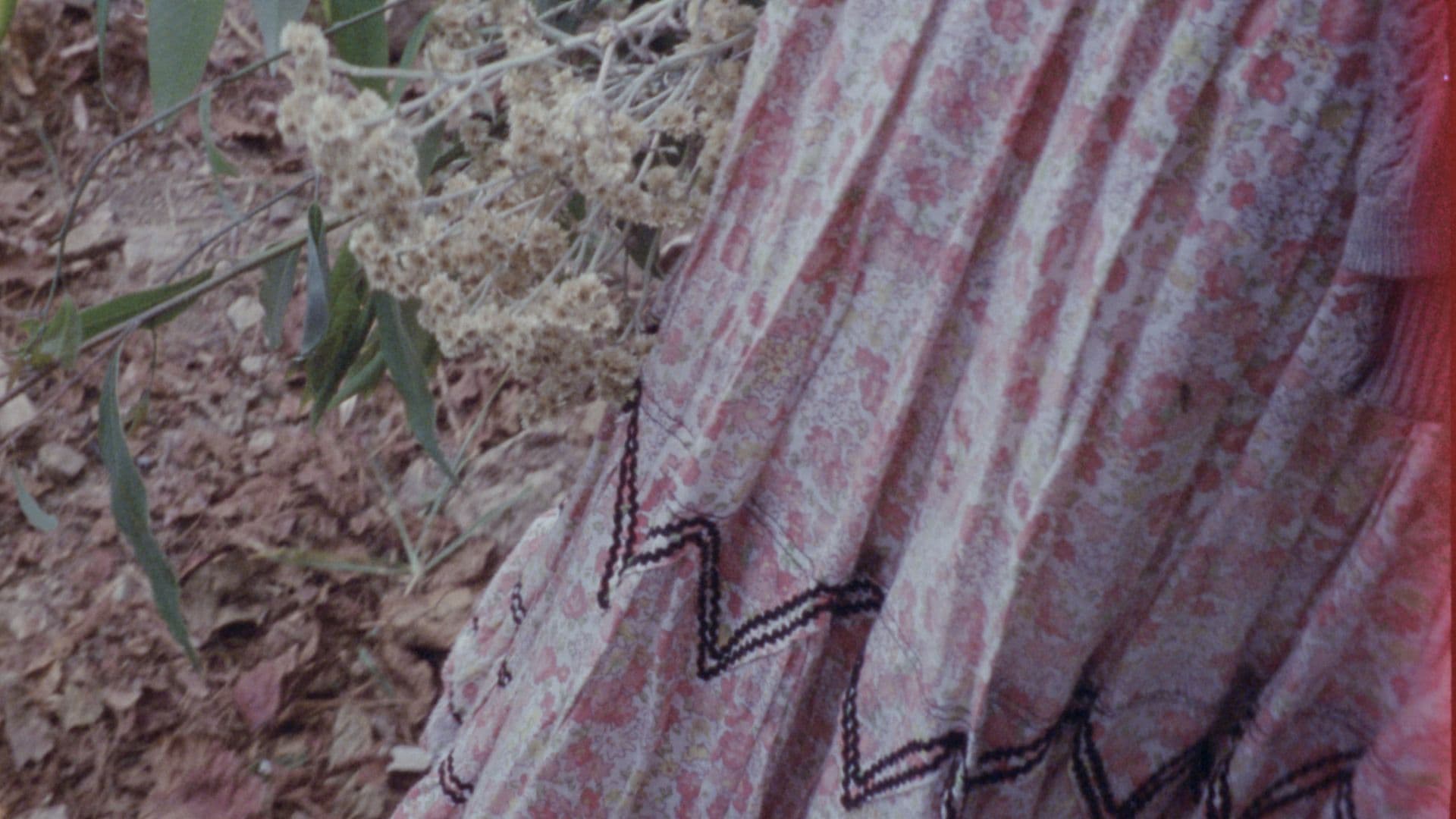 Por dentro somos color