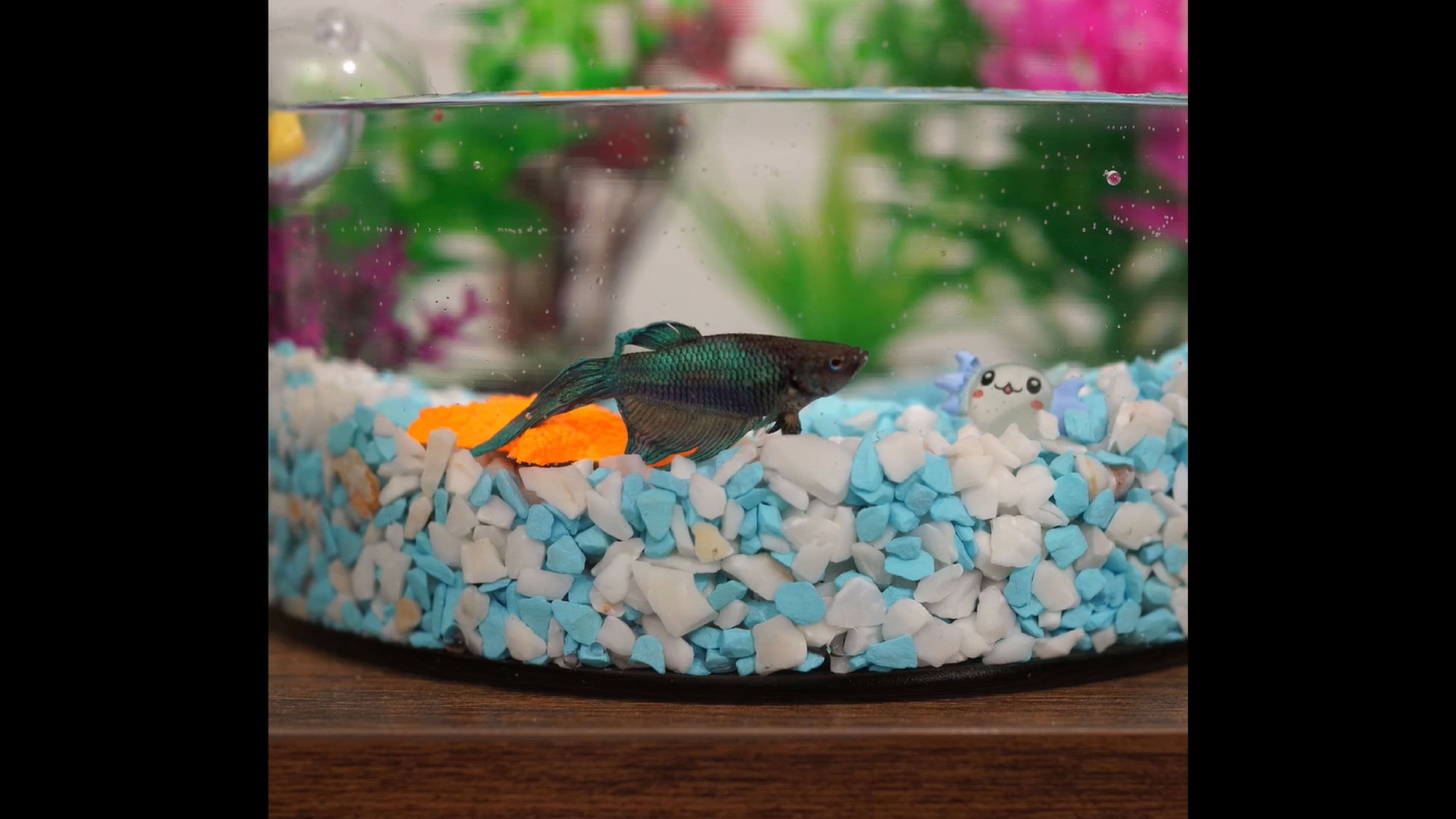 Figura Ornamental Decorativa