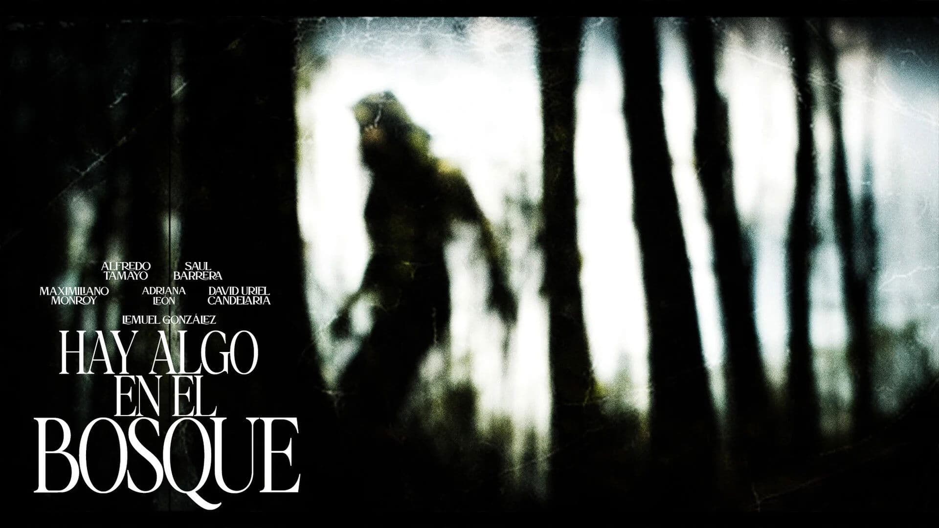 Hay algo en el bosque