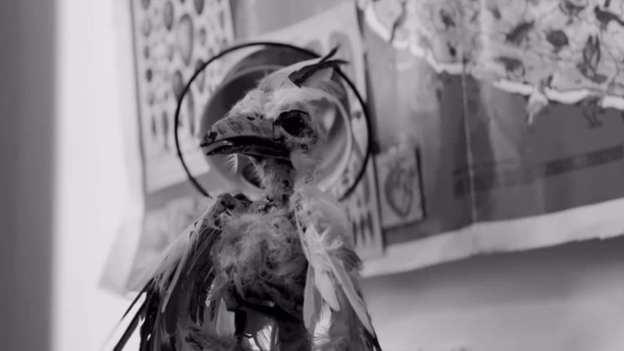 Las Aves de Prometeo