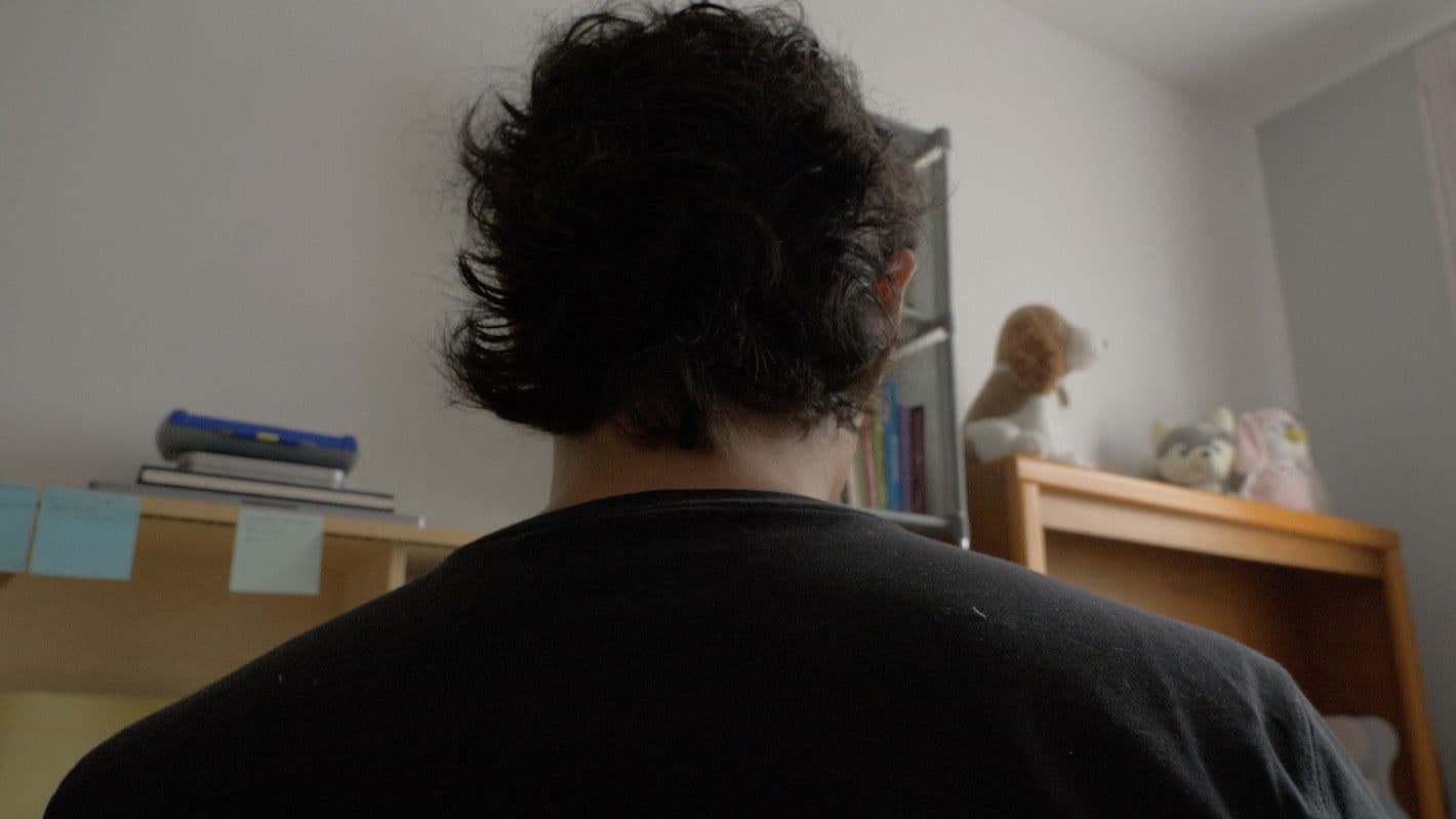 ineludible versión 2