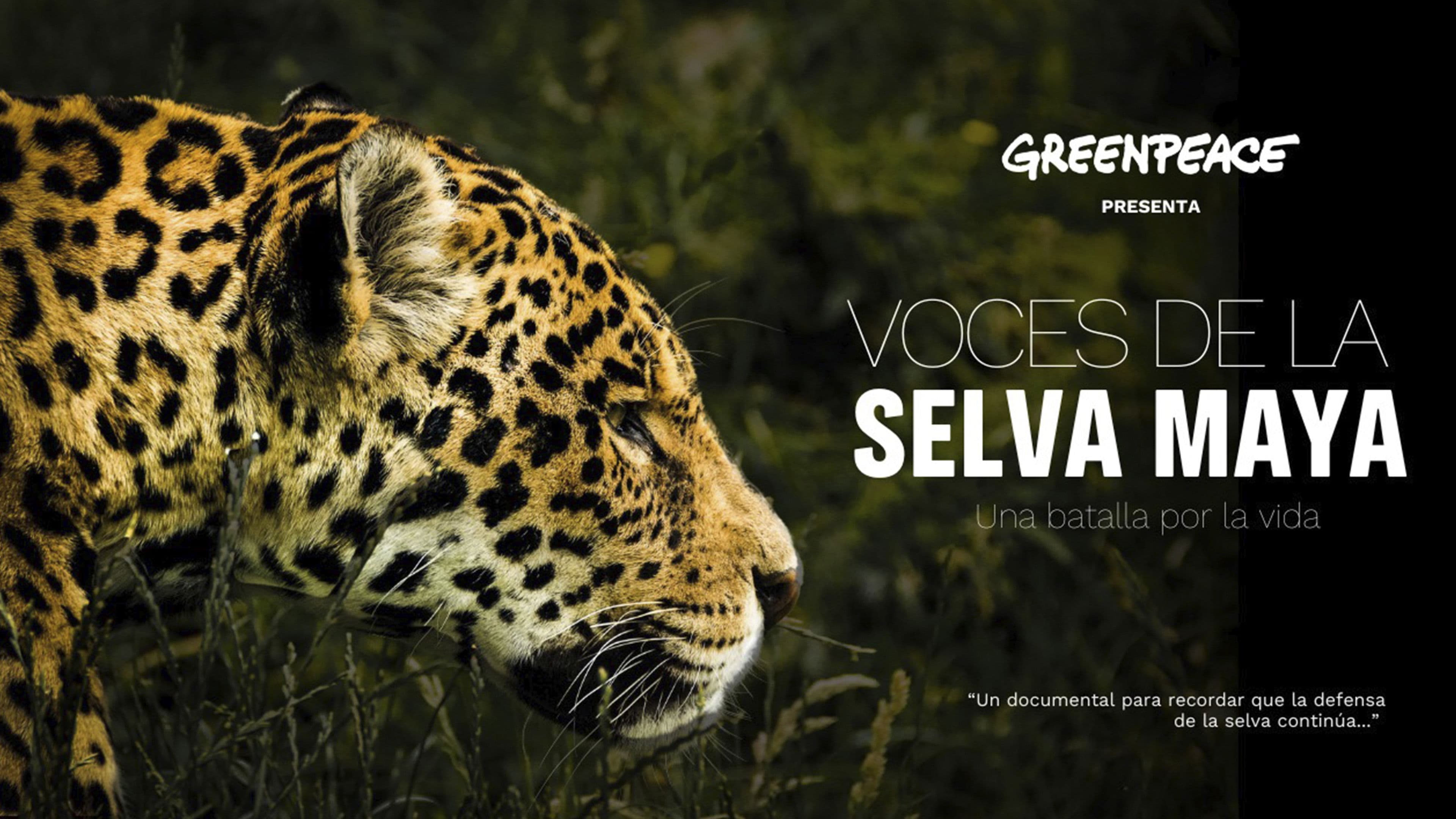 Voces de la Selva Maya: Una Batalla por la Vida