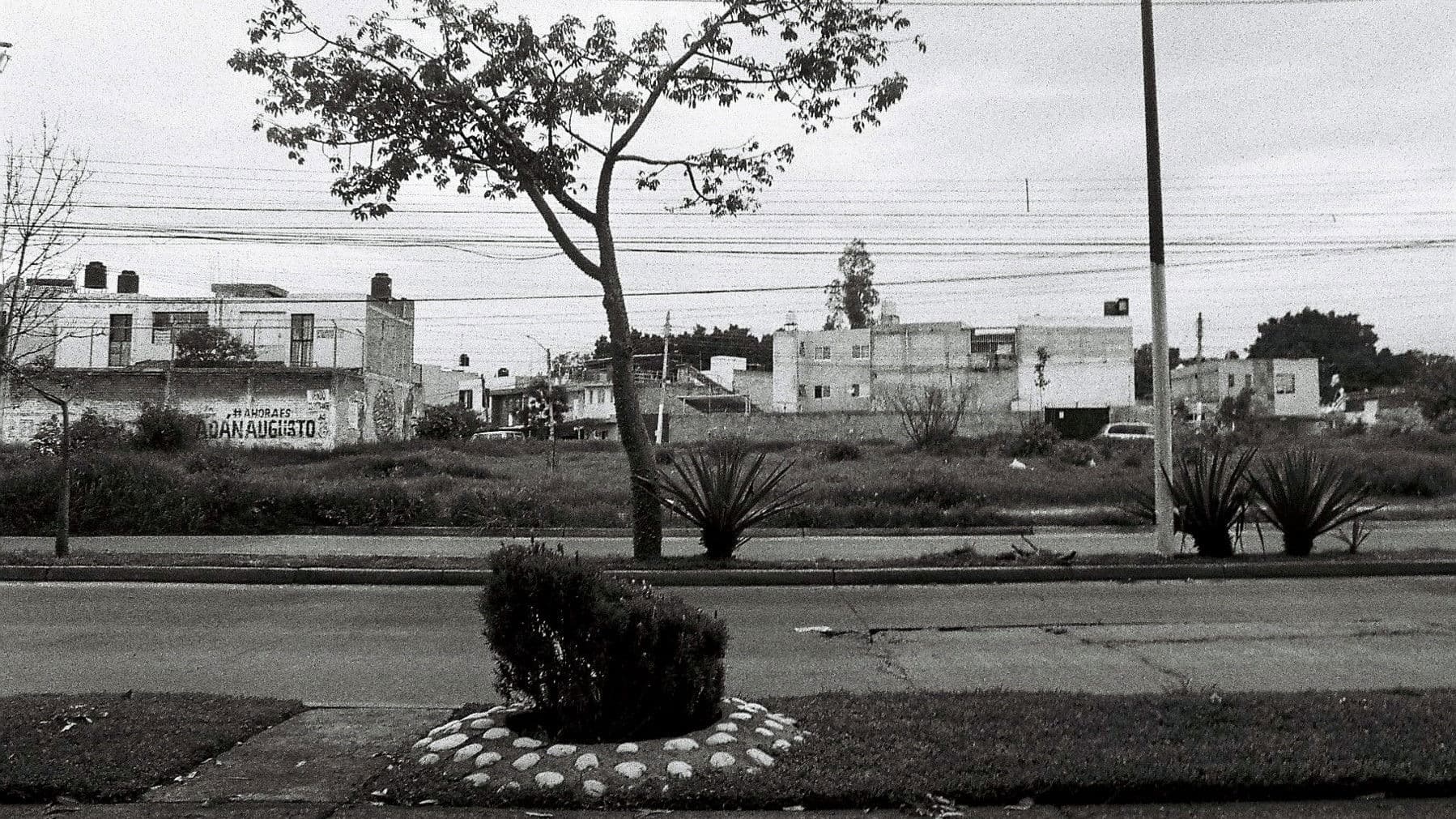 significantes, tres de cinco