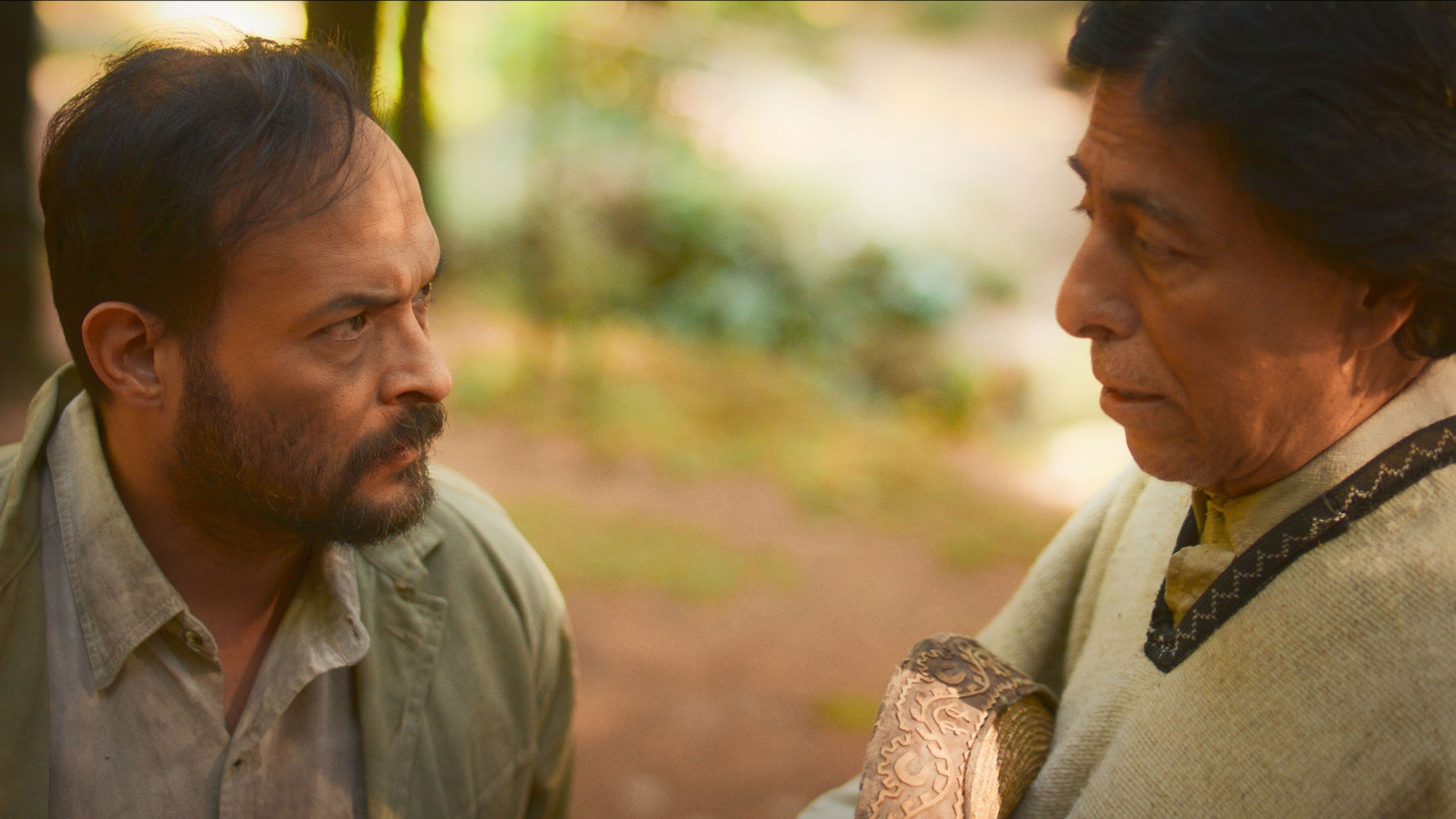 LO QUE SE OCULTA EN LAS SOMBRAS