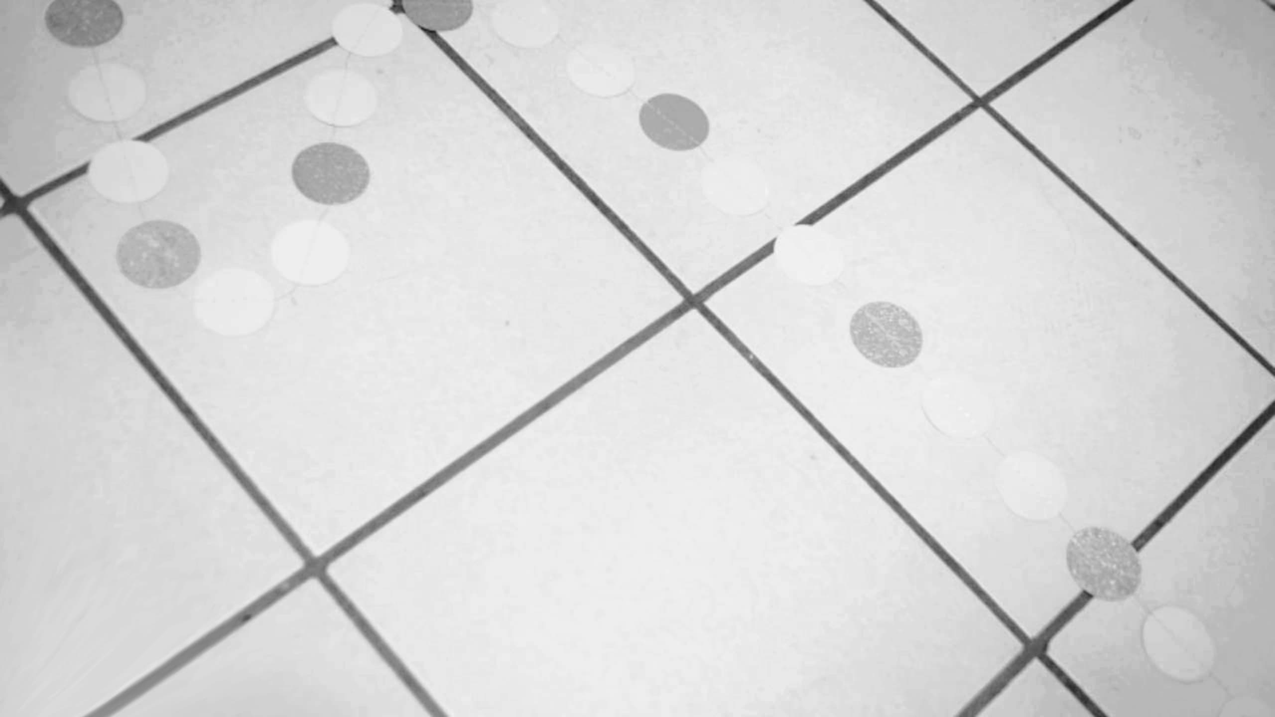 LOCOMIA (Mosso's Cut)