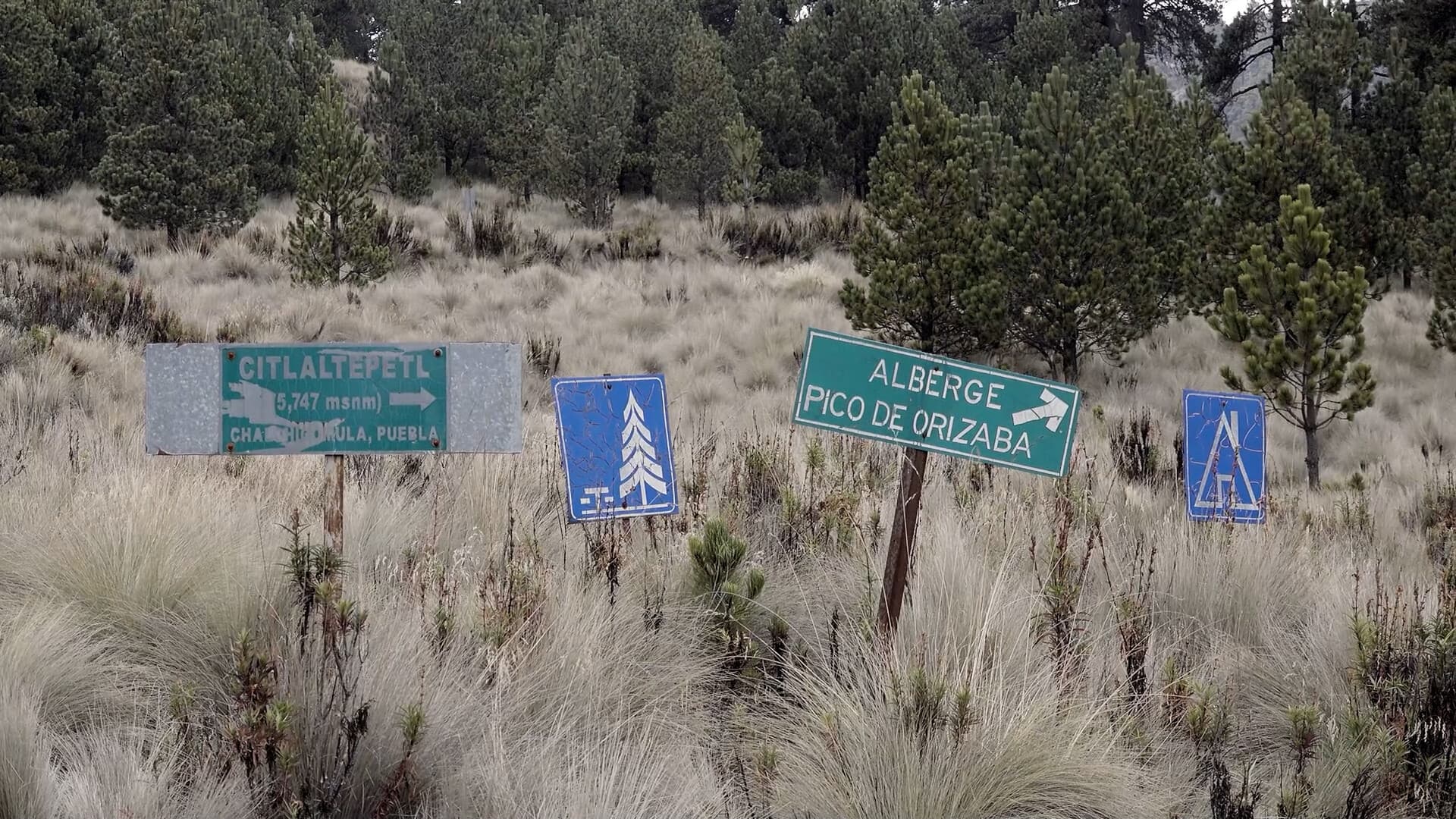 Corazón de obsidiana