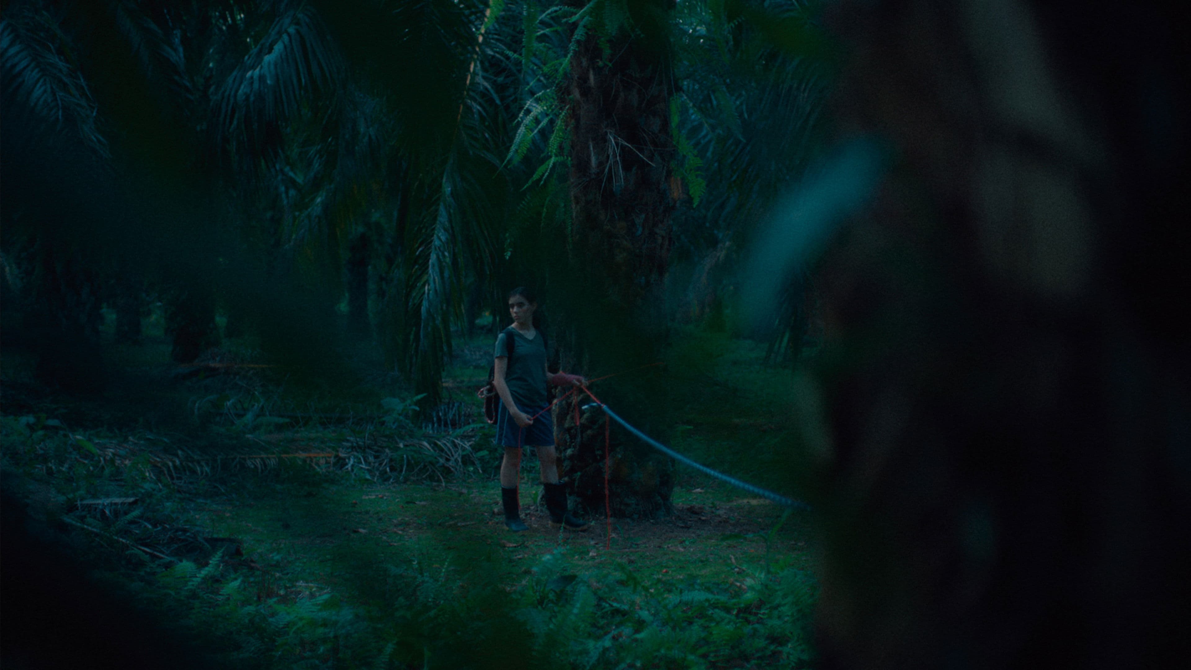 Si no ardemos, cómo iluminar la noche