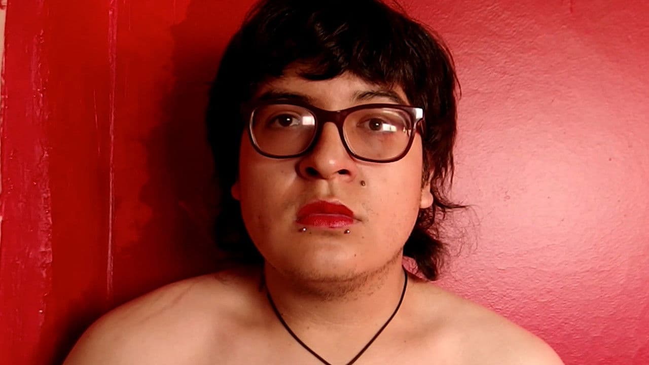 La visita presidencial