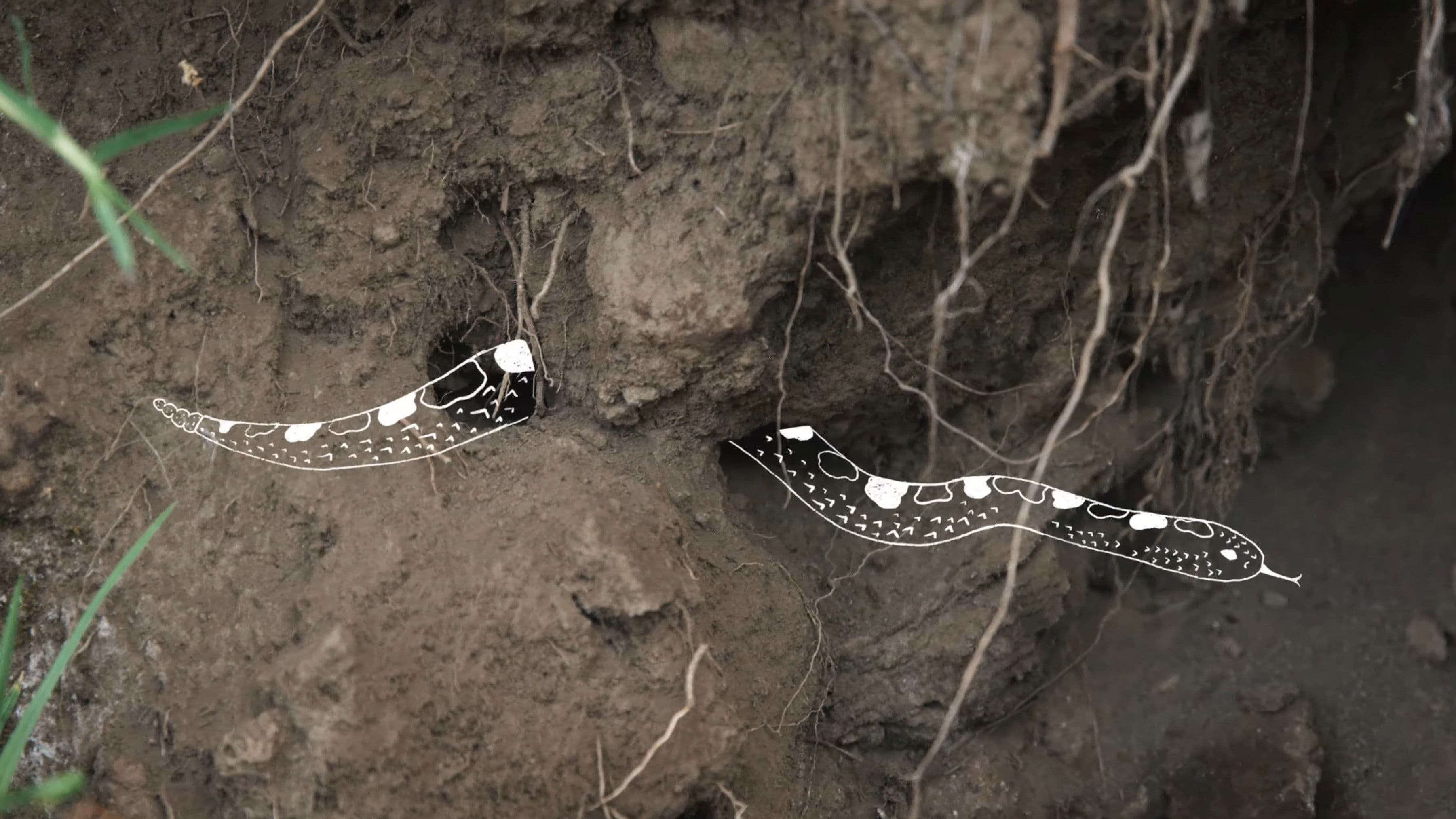 El Cerro de Polvo y sus veinte alrededores