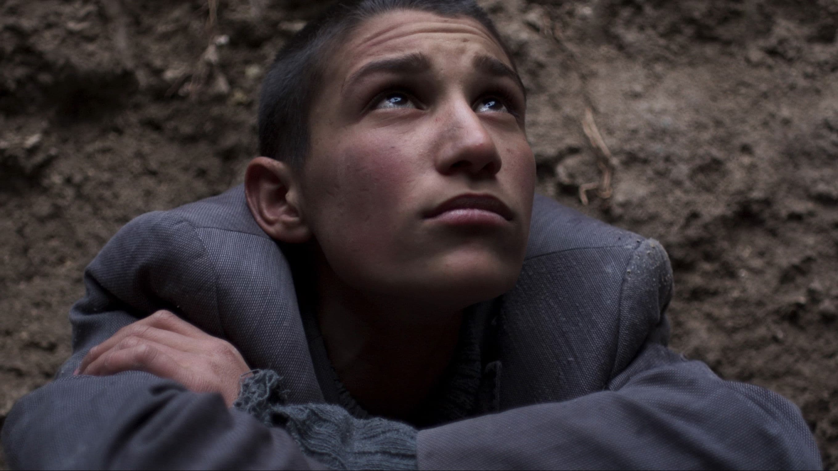 Empire of the Rabbits