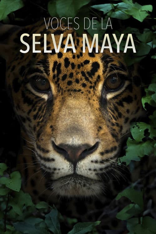 Voces de la Selva Maya: Una Batalla por la Vida