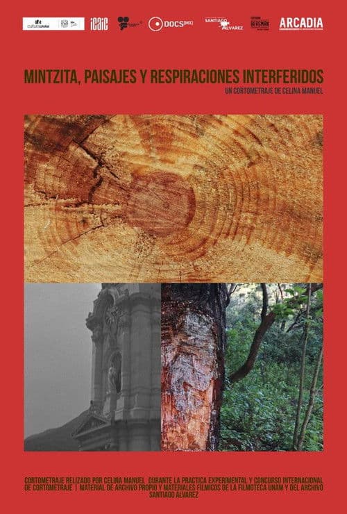 Mintsita, paisajes y respiraciones interferidos