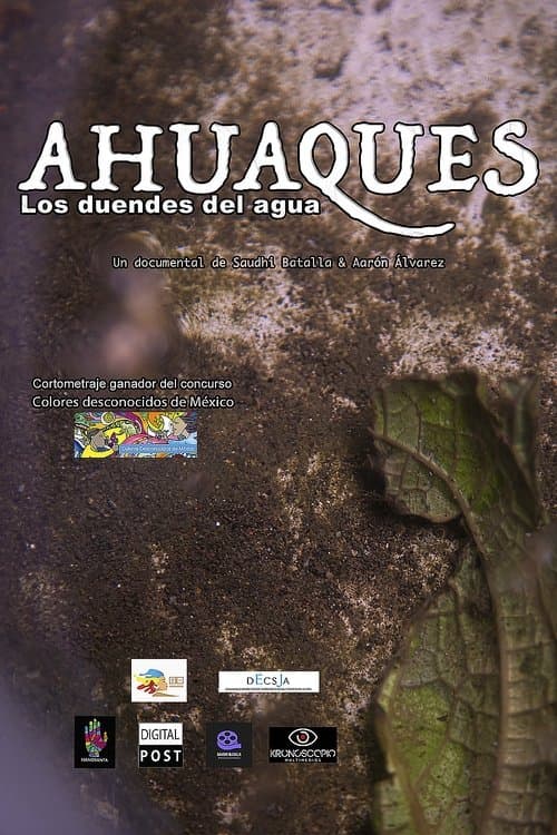 Ahuaques, los duendes del agua