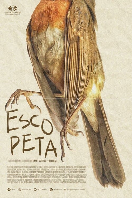 Escopeta