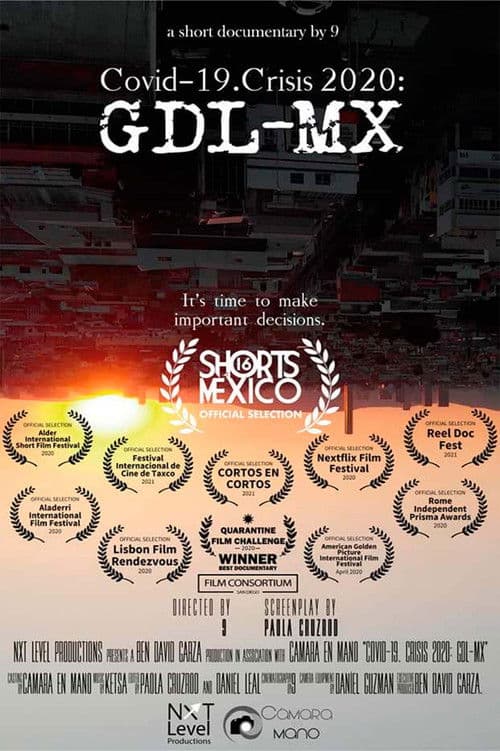 COVID 19 Crisis 2020 GDL-MX