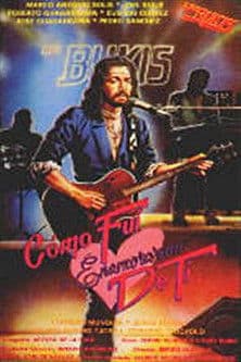 ¿Cómo fui a enamorarme de ti?