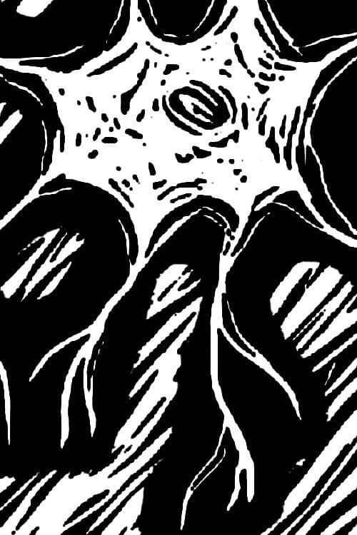 Involución, de historias y deshistorias