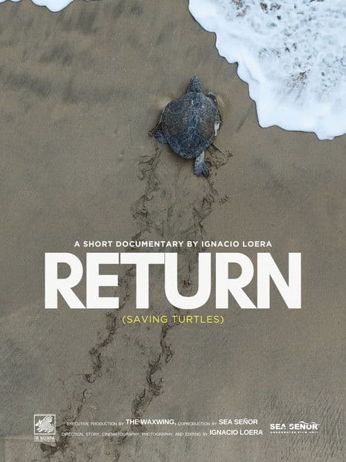 Return: Salvando a las Tortugas