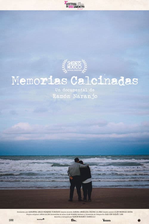 Memorias Calcinadas