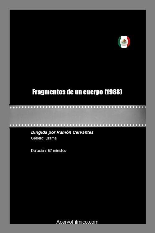 Fragmentos de un cuerpo