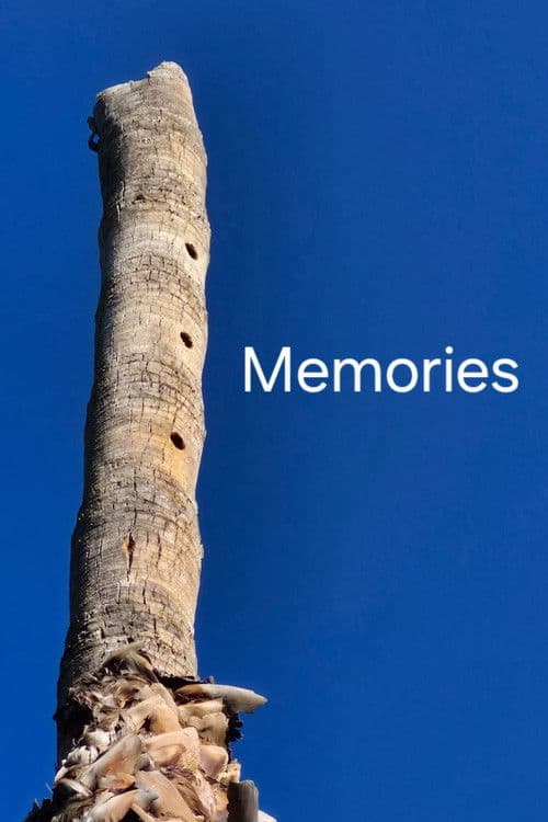 Memoirs: fragments of a true fiction