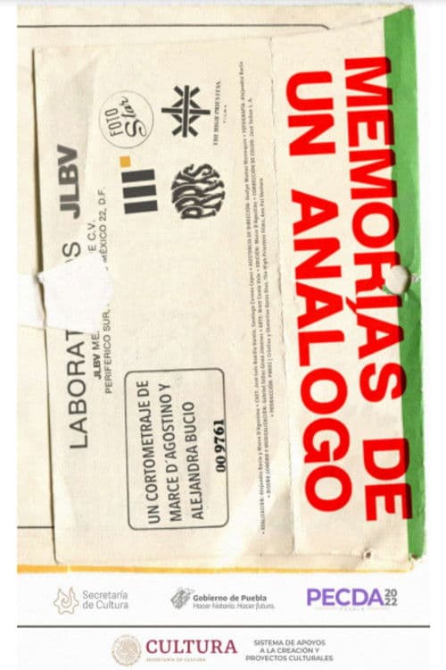 Memorias de un análogo