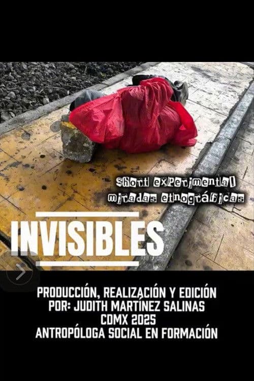Invisibles