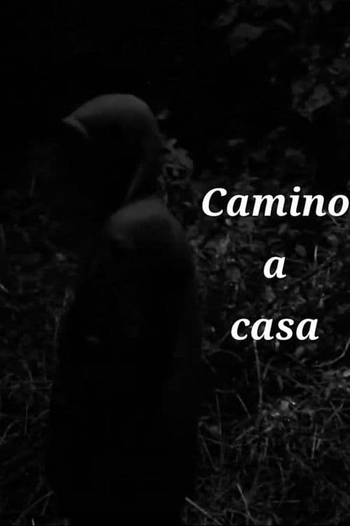 Camino a casa