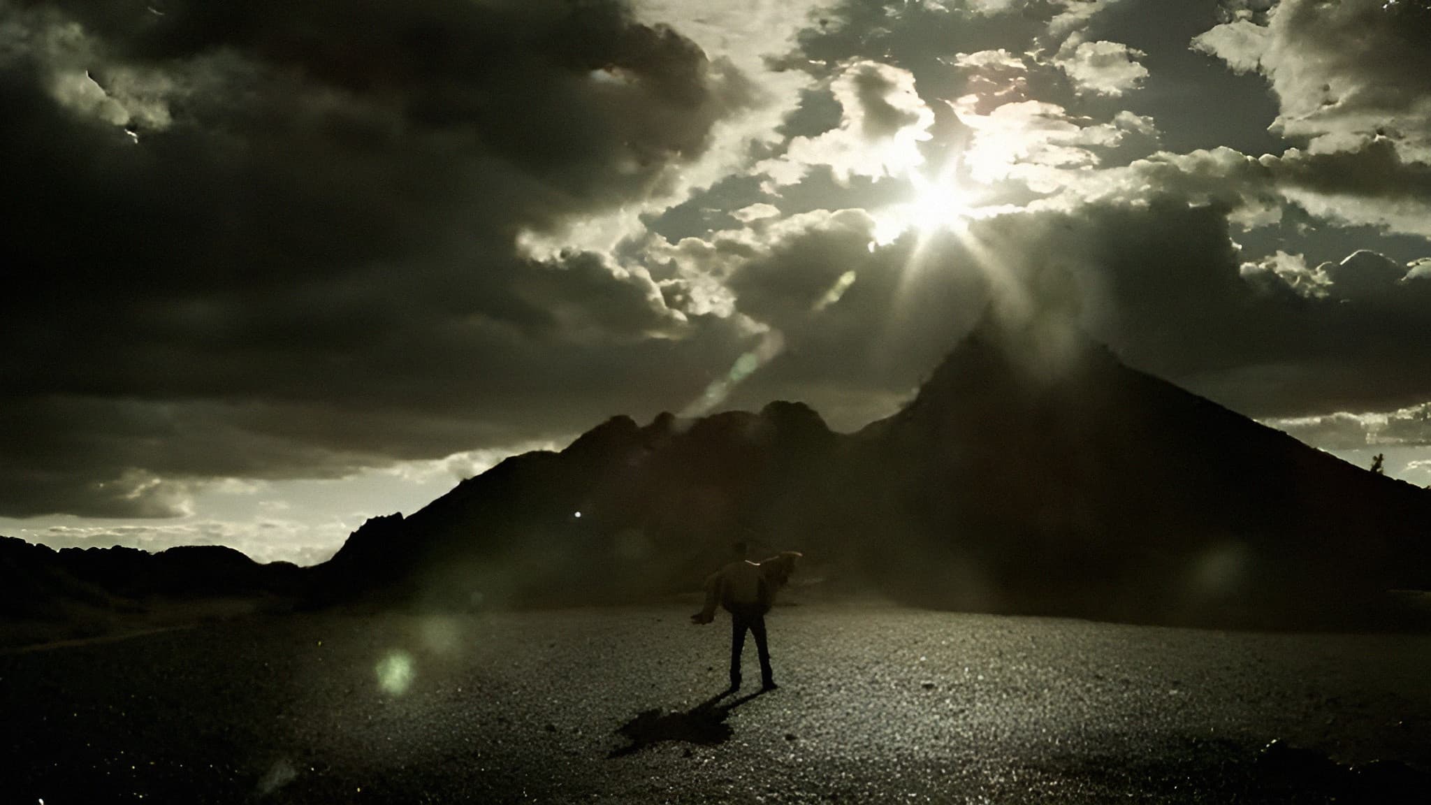Tigres de noche, arena de día