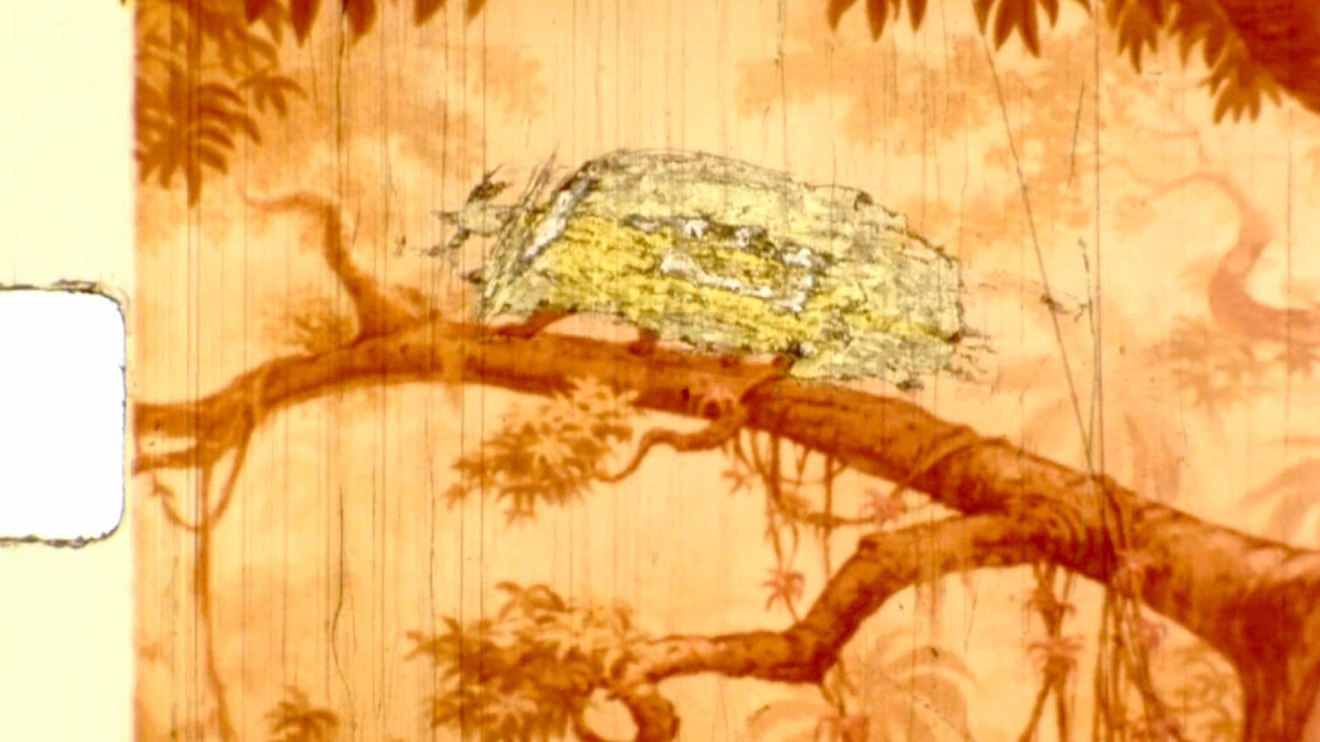 Electuario: plantas para el duelo