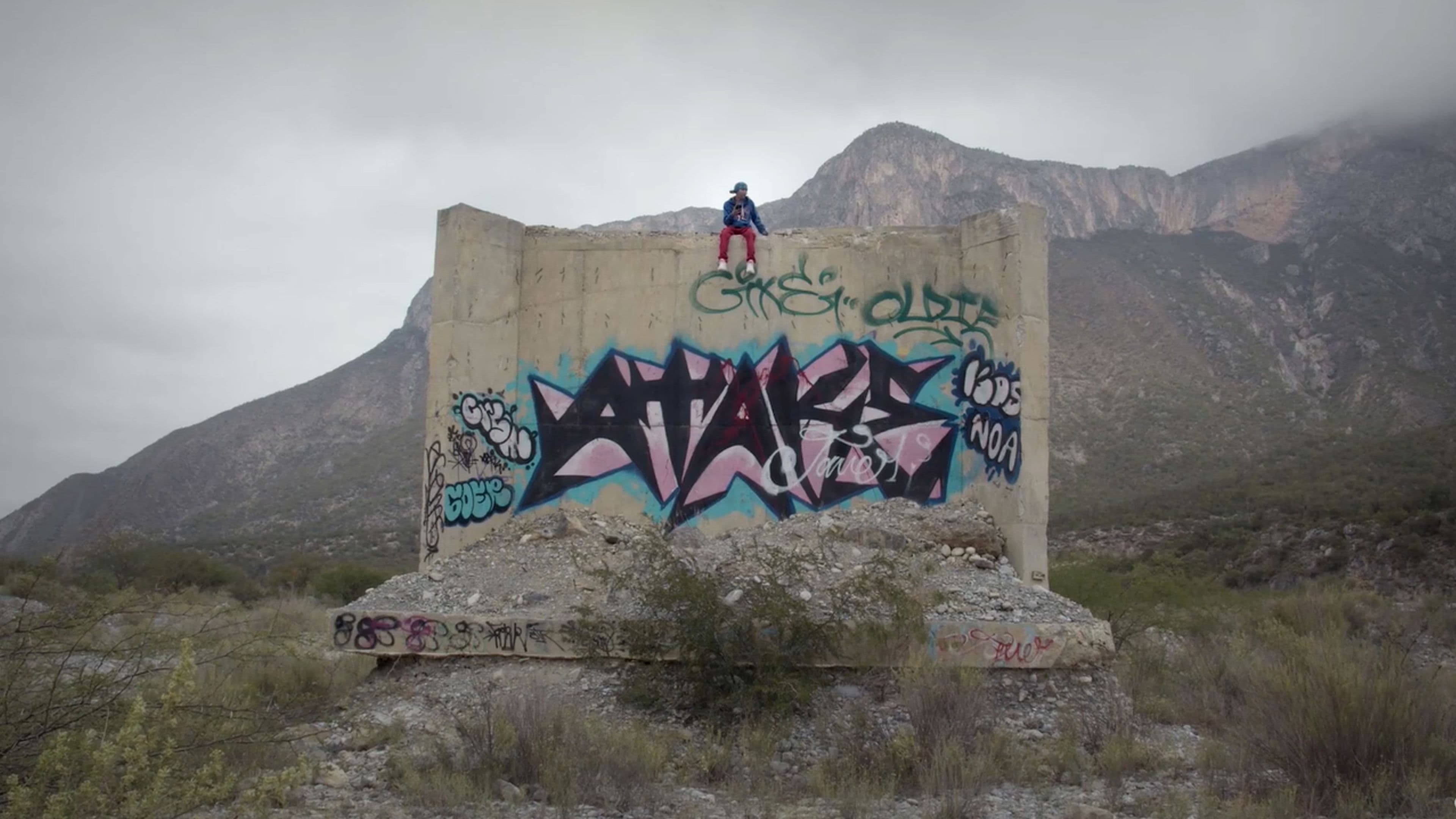 Niño Halcón Duerme Entre Visiones de un Incendio