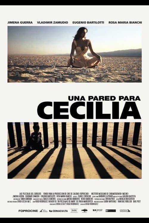 A Wall for Cecilia